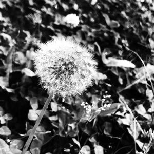 Meet your Posher, Breanne